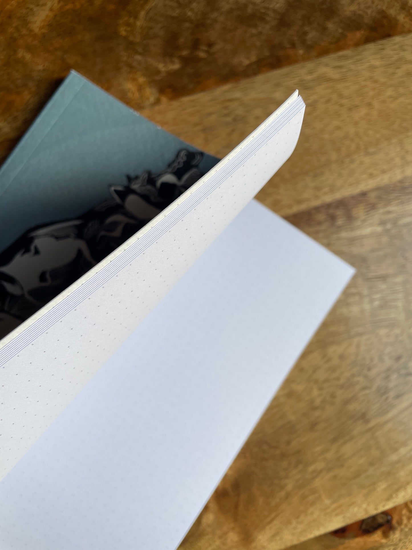 'Selina the River Duppy' A5 Notebook